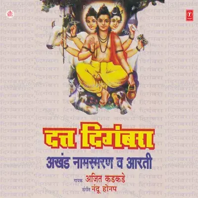 Vallabh Digambra  Amp  Aarti - Ajit Kadkade album cover 