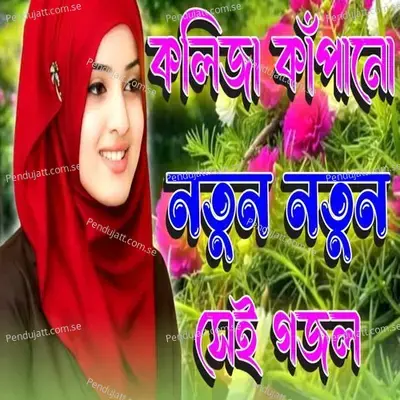 Duyare Aisache Palki Nayori Nau Tule - Asma Akter album cover 