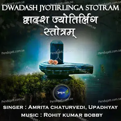 Dwadash Jyotirlinga Stotram - Amrita Chaturvedi album cover 