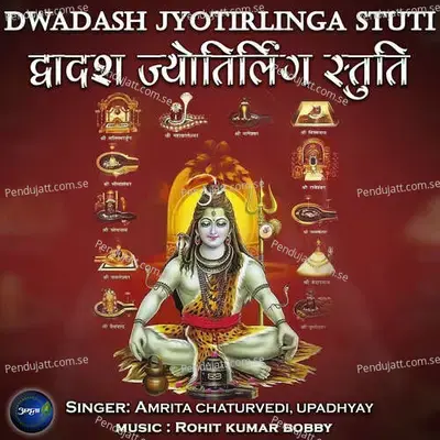 Dwadash Jyotirlinga Stuti - Amrita Chaturvedi album cover 