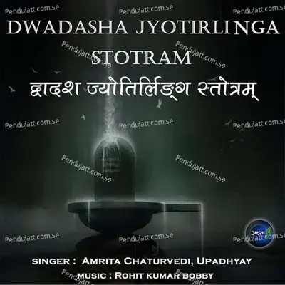 Dwadasha Jyotirliga Stotram - Amrita Chaturvedi album cover 