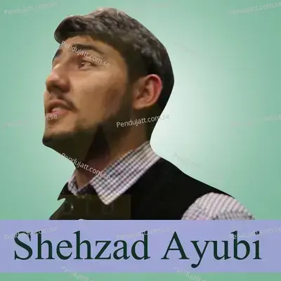 E Anus Hash Ka Khabar Boya No Boi - Shehzad Ayubi album cover 