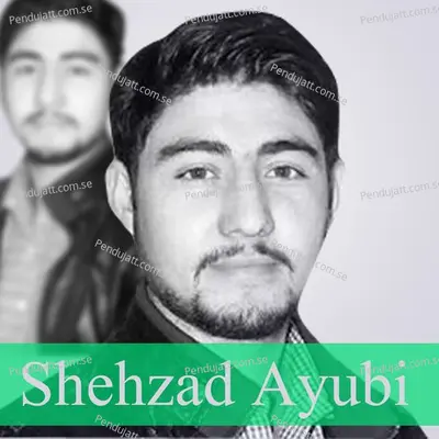 E Beri Nisi Ah Lole Ki - Shehzad Ayubi album cover 