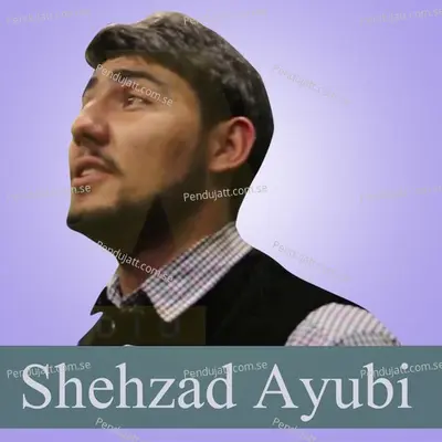 E Bewafo Sum Dosti - Shehzad Ayubi album cover 