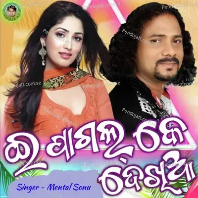 E Pagal Ke Dekhi Aa - Mental Sonu album cover 