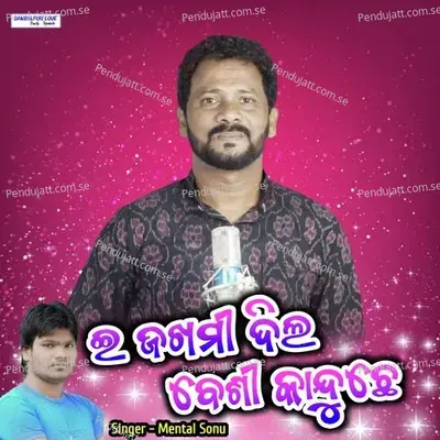 E Zakhami Dil Beshi Kanduchhe - Mental Sonu album cover 