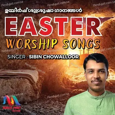 Modham Bhooswargangal - K S Sibin Chowalloor album cover 