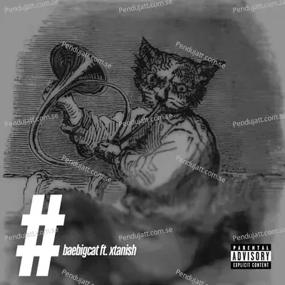 Eclipse - baebigcat album cover 