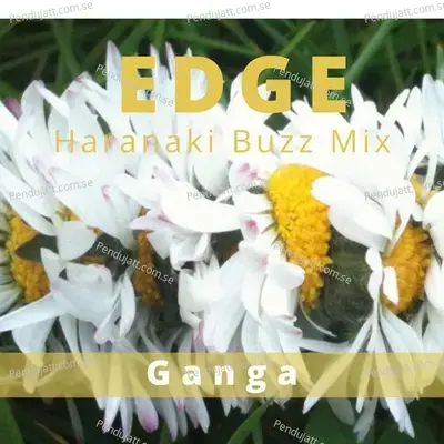 Edge (Haranaki Buzz Mix) - Ganga
