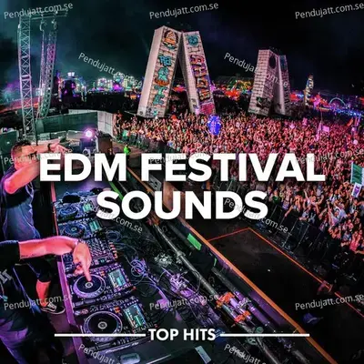 Edm Festival Sounds 2022 - Various Artists cover album