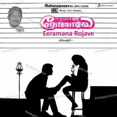 Vanna Poongavanam - Ilaiyaraaja album cover 