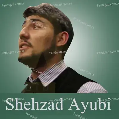 Egana Hash D Boi - Shehzad Ayubi album cover 