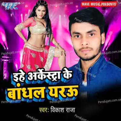 Baap Tor Vidhayak Chahe Bhai Thanedar Ho - Vikash Raja album cover 