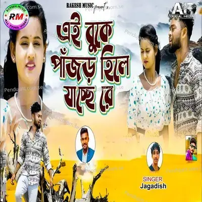 Ei Buke Pangar Hile Jachhe Re - Jagadish album cover 
