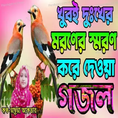 Ei Duniya Chere Chole Jabo Ekdin - Machuma Aktar album cover 