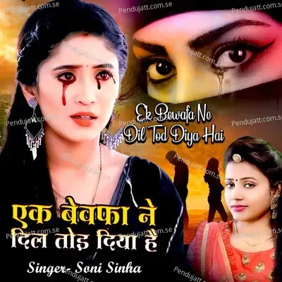 Ek Bewafa Ne Dil Ye Mera Tod Diya Hai - Soni Sinha album cover 
