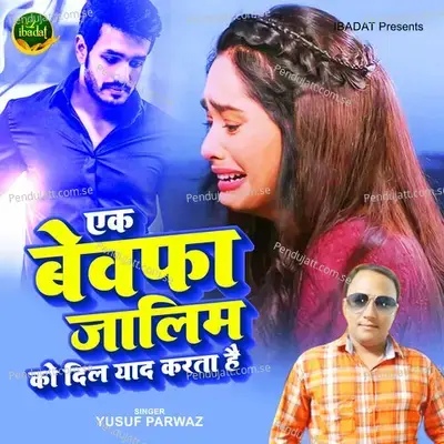 Ek Bewafa Zalim Ko Dil Yaad Karta Hai - Yusuf Parwaz album cover 