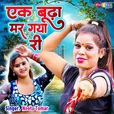 Ek Budha Mar Gaya Ri - Neetu Tomar album cover 