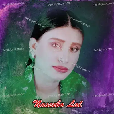 Ek Dhoka Khake - Naseebo Lal cover album