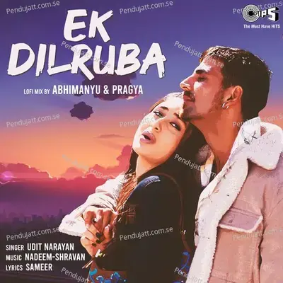 Ek Dilruba Hai (Lofi Mix) - Udit Narayan
