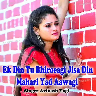 Ek Din Tu Bhiroeagi Jisa Din Mahari Yad Aawagi - Avinash Yogi