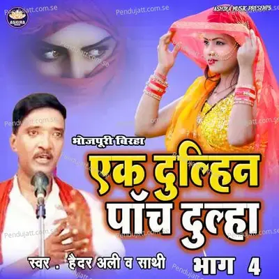 Ek Dulhin Panch Dulha Vol  4 - Ali Haider album cover 