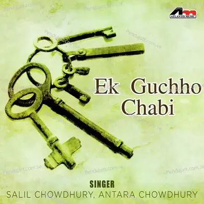 Ami Jhorer Kache Rekhe Gelam - Salil Chowdhury album cover 