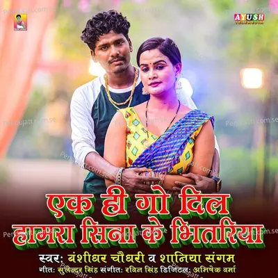 Ek Hi Go Dil Hamara Sina Ke Bhitariya - Banshidhar Chaudhari album cover 