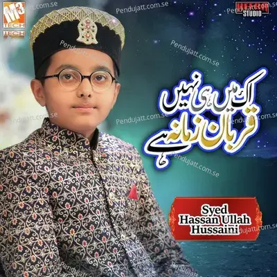 Ek Main Hi Nahi Qurban Zamana Hai - Syed Hassan Ullah Hussaini album cover 