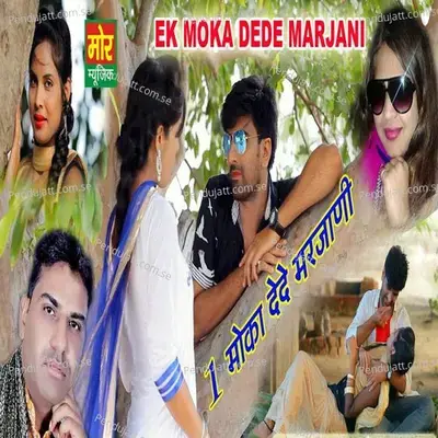 Ek Moka Dede Marjani - Vinu Gaur album cover 