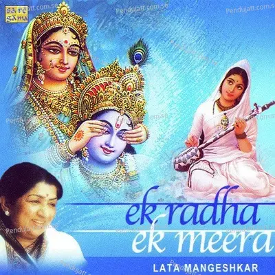 Ram Bhajan Kar Man - Shrinivas Khale album cover 