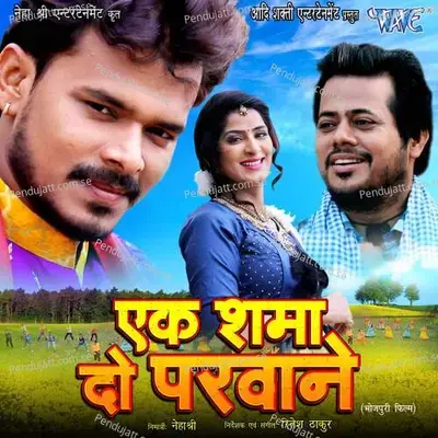 Dhekul Me Kut Da Jawani - Priyanka Maurya album cover 