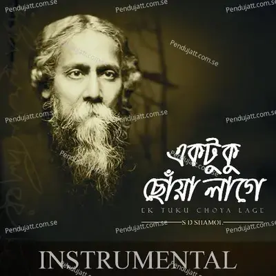 Ek Tuku Choya Lage - S D Shamol album cover 