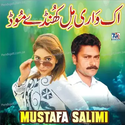 - Mustafa Salimi 