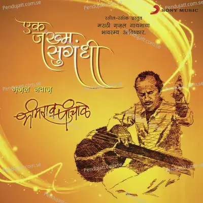 Mi Kinare Sarakatana Pahile - Bhimrao Panchale album cover 