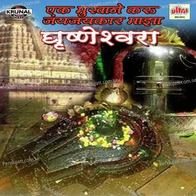 Grushneshwar Shambhu Mahadevacha Gajar Zala - Shrikrishna Sawant album cover 