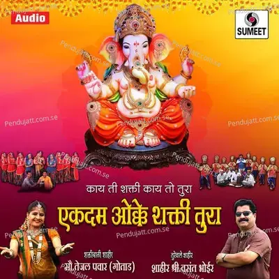 Radhe Tuza Shrihari - Vasant Bhoir album cover 