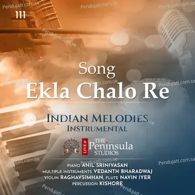 Ekla Chalo Re - Vedanth Bharadwaj album cover 