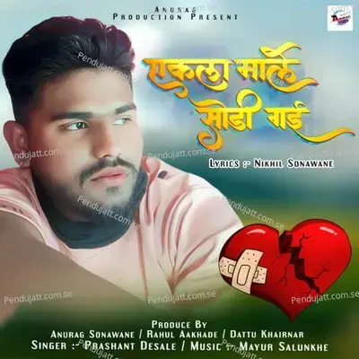 Ekla Male Sodi Gai - Prashant Desale album cover 