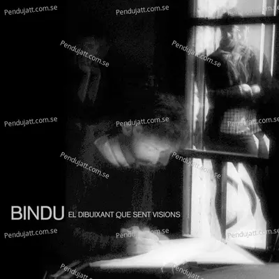 El Dibuixant Que Sent Visions - Bindu cover album