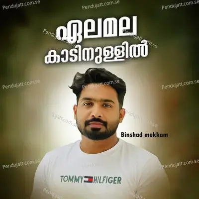 Elamala Kadin Ullil - Binshad Mukkam album cover 