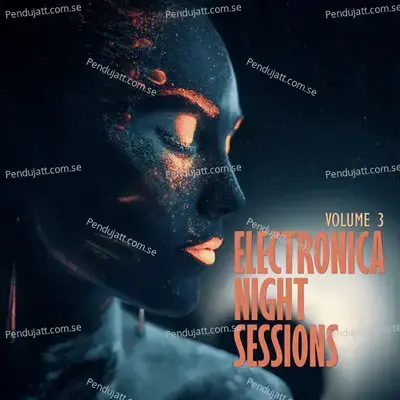 Electronica  Night Sessions  Vol  3 - Various Artists cover album
