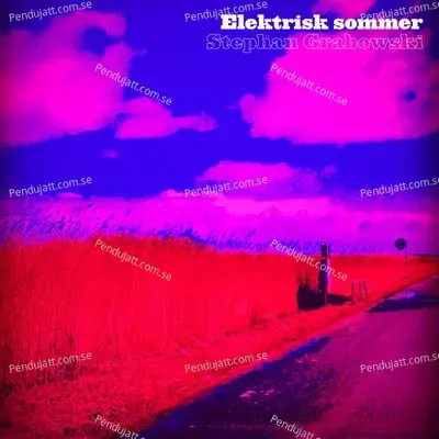 Elektrisk Sommer - Stephan Grabowski cover album