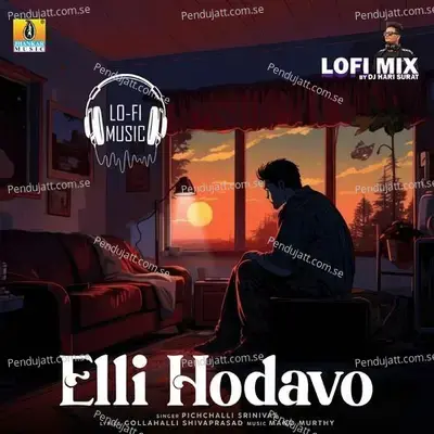 Elli Hodavo Lofi Mix - Pichchalli Srinivas album cover 