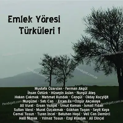 Nerdesin Ya Dost - Mustafa Özarslan album cover 