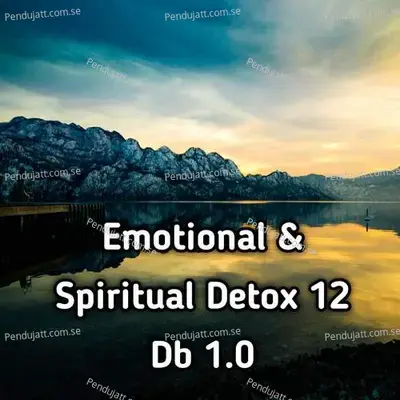 Emotional  Amp  Spiritual Detox 12 Db 1 0 - Lakhan Hire album cover 