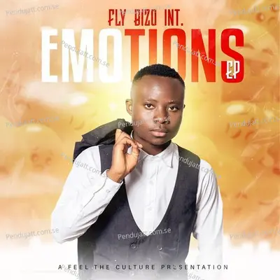 Emotions - Fly Bizo Int cover album