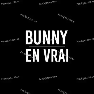 En Vrai - Bunny