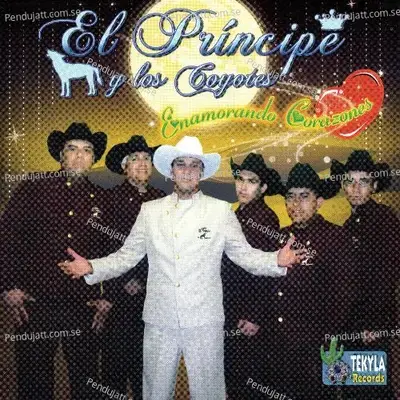 Amor De Adolecentes - El Principe y Los Coyotes album cover 