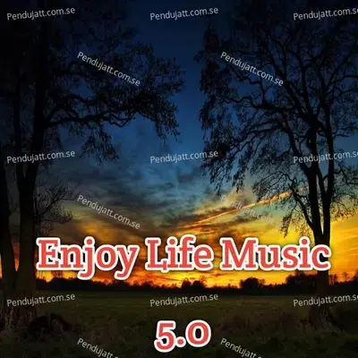 Enjoy Life Music 5 0 - Lakhan Hire album cover 